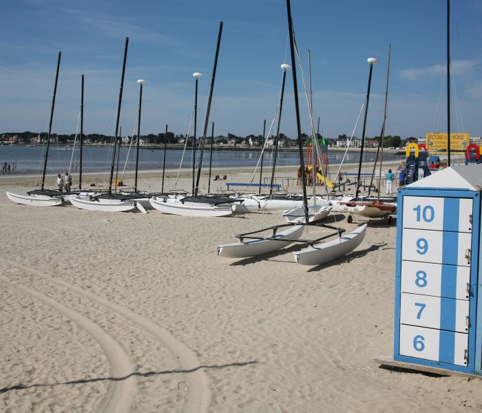 IMG_8857 IMG_8857